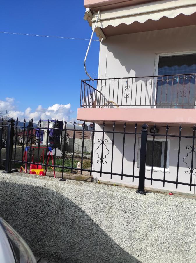 Amaltheia Studio Apartment Ioannina Exterior photo